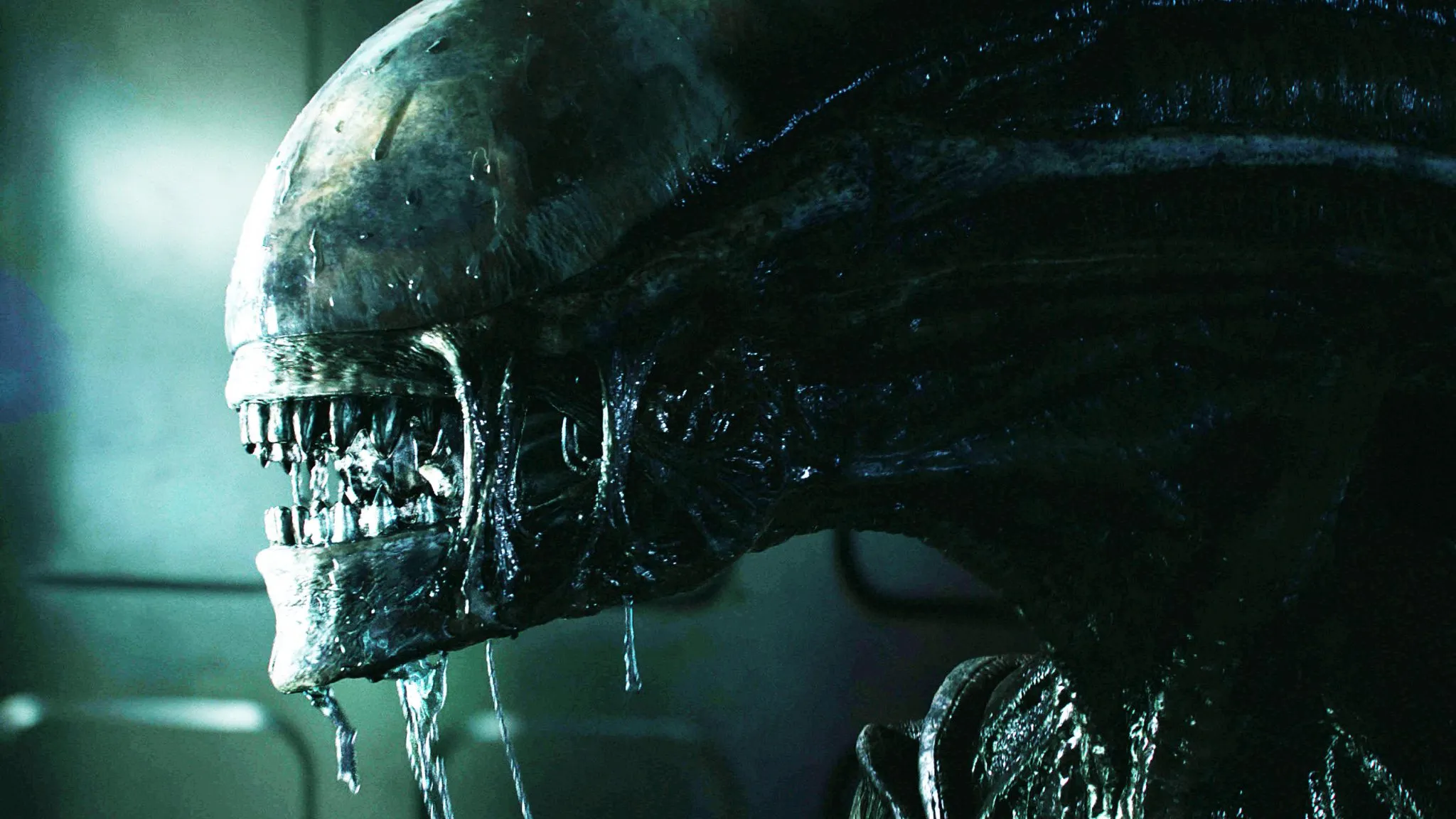 New Alien film lands 2024 release date